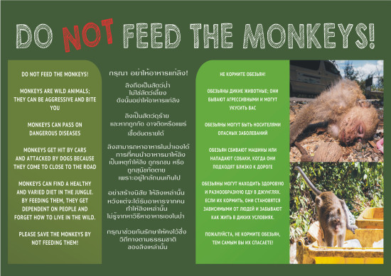don't feed the monkeys on koh chang